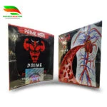 prime test price in bangladesh